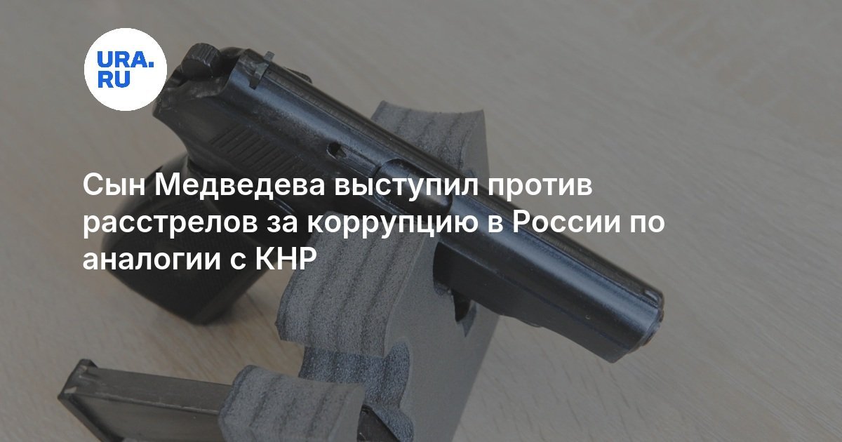 Medvedev’s Son Opposes Executions for Corruption in Russia in Analogy with China
