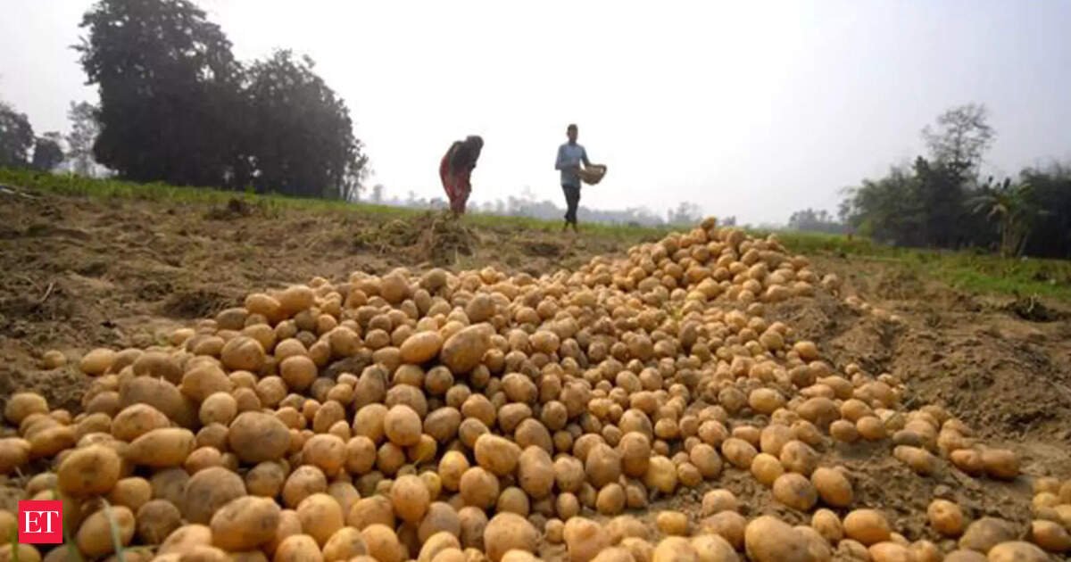 Processed Potato Products from India Making Waves in Southeast Asian Markets: GTRI