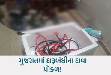 Rave Party in Ahmedabad: High-Profile Raid at Farmhouse, 15 Arrested Including NRI