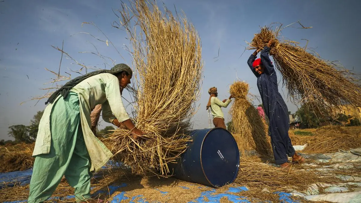 Russia’s Proposal for BRICS Grain Exchange Gains Momentum to Counter CME