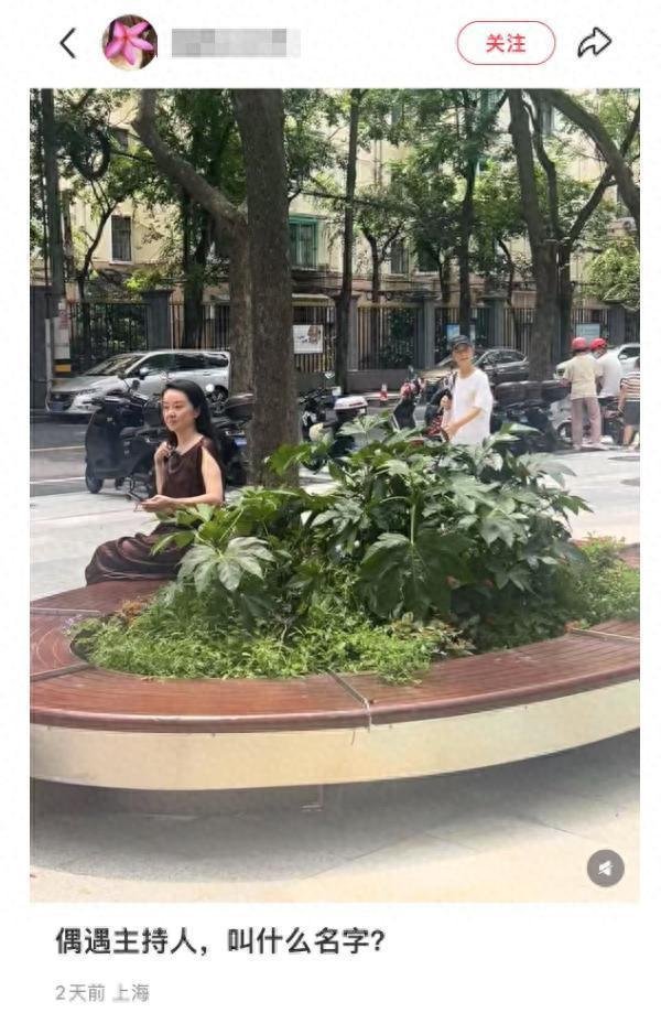 Shen Ting’s Recent Situation Exposed, 49 Years Old Still Elegant and Beautiful, Second Marriage with 10 Years Younger Husband Is Very Happy