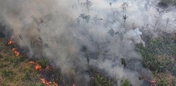 Amazonia surpasses 1.5°C above average temperature limit for the first time