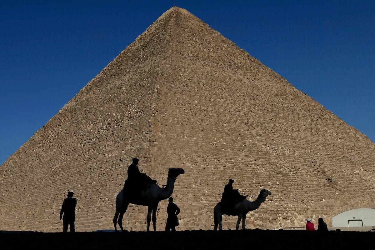 Animal Abuse at Egyptian Tourist Attractions Revealed in Investigations