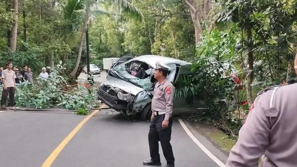 Bali: 5 dead and 8 injured in accident with Chinese tourist bus