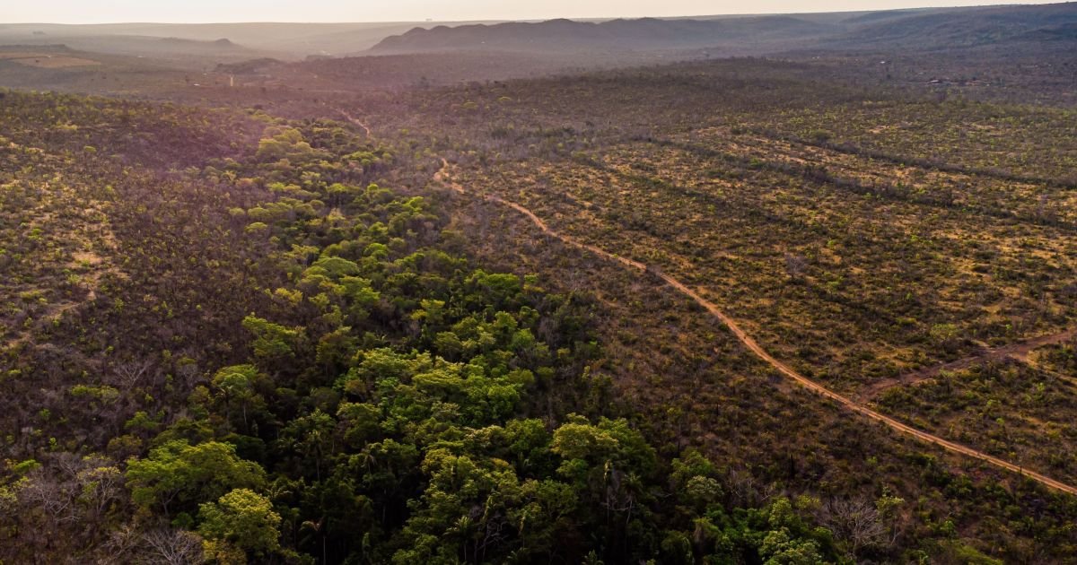 Brazil Proposes Changes in Institutions, Rules, and Sectors for Climate at COP30