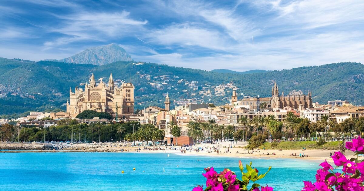 Decline in German Tourists to Majorca Sparks Panic as They Opt for Egypt instead