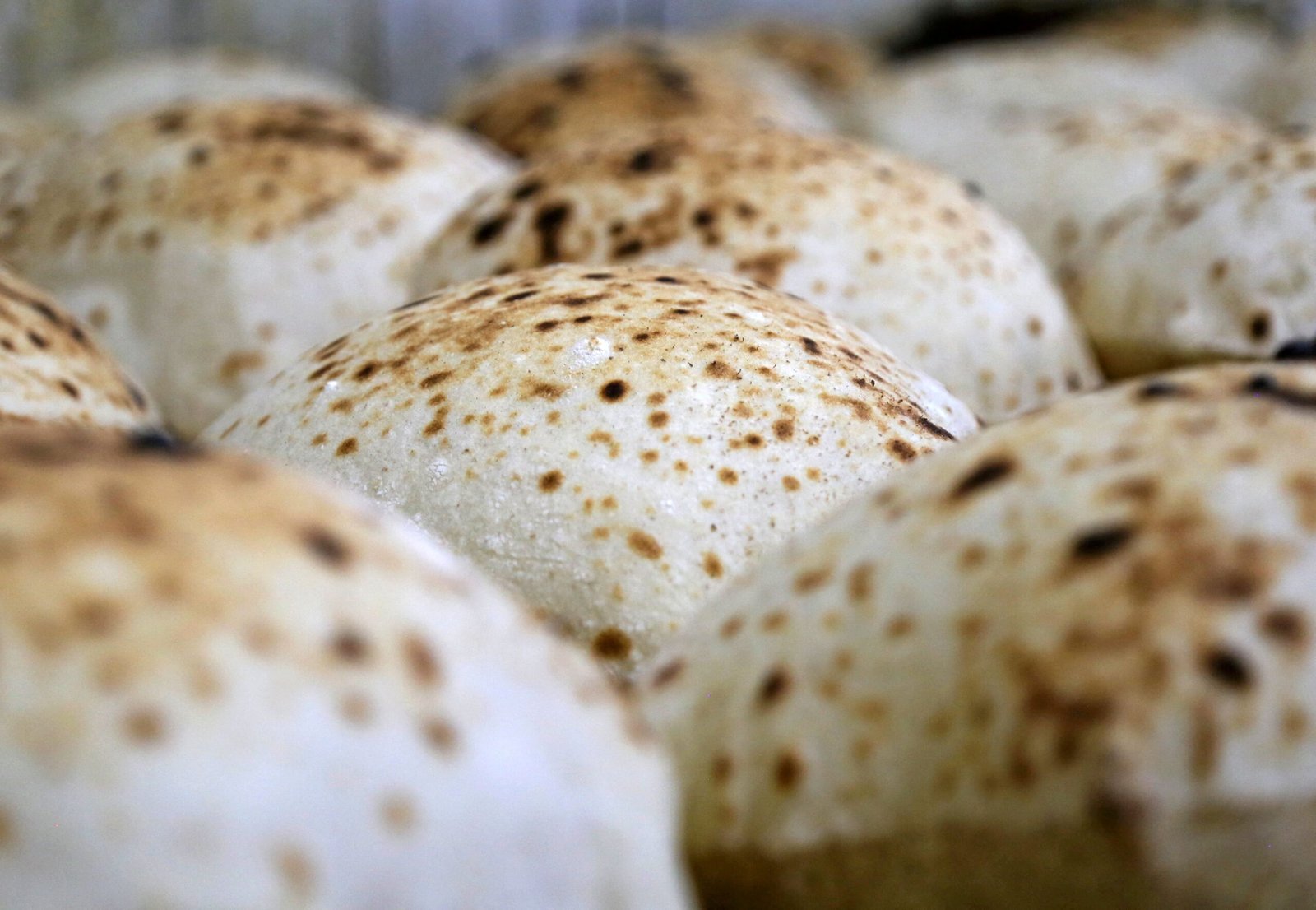 Delayed Payments and Broken Deals Involve Egypt’s State Grains Buyer