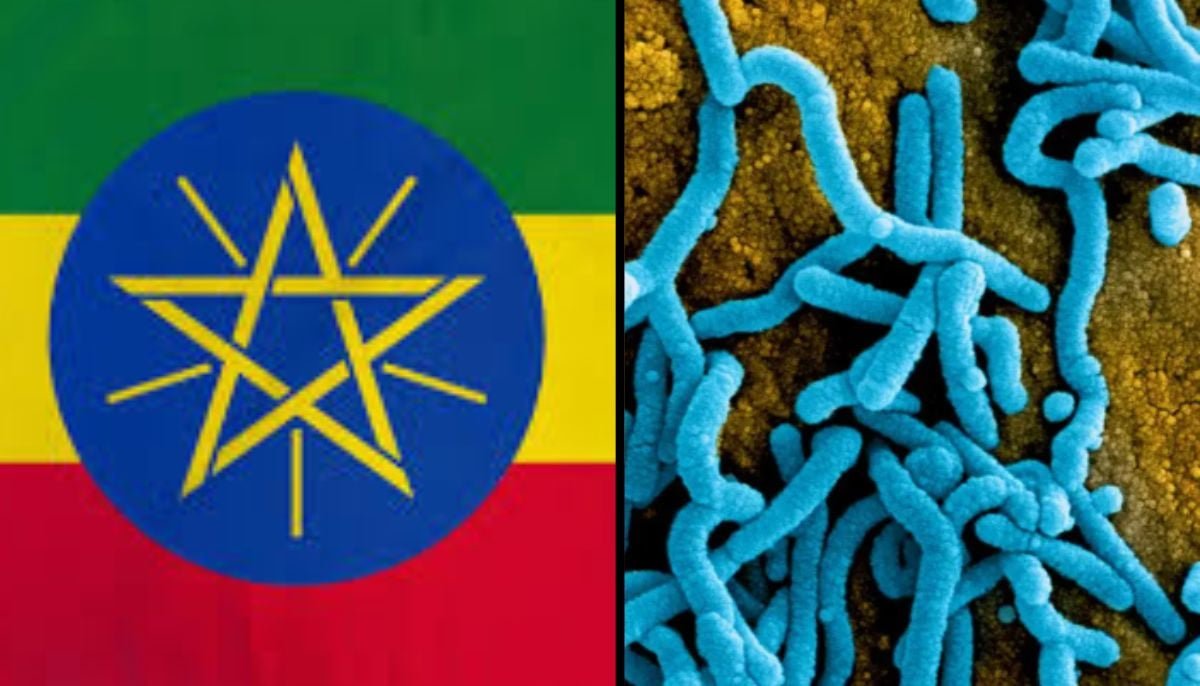 First Outbreak of Marburg Virus Confirmed by WHO in Africa