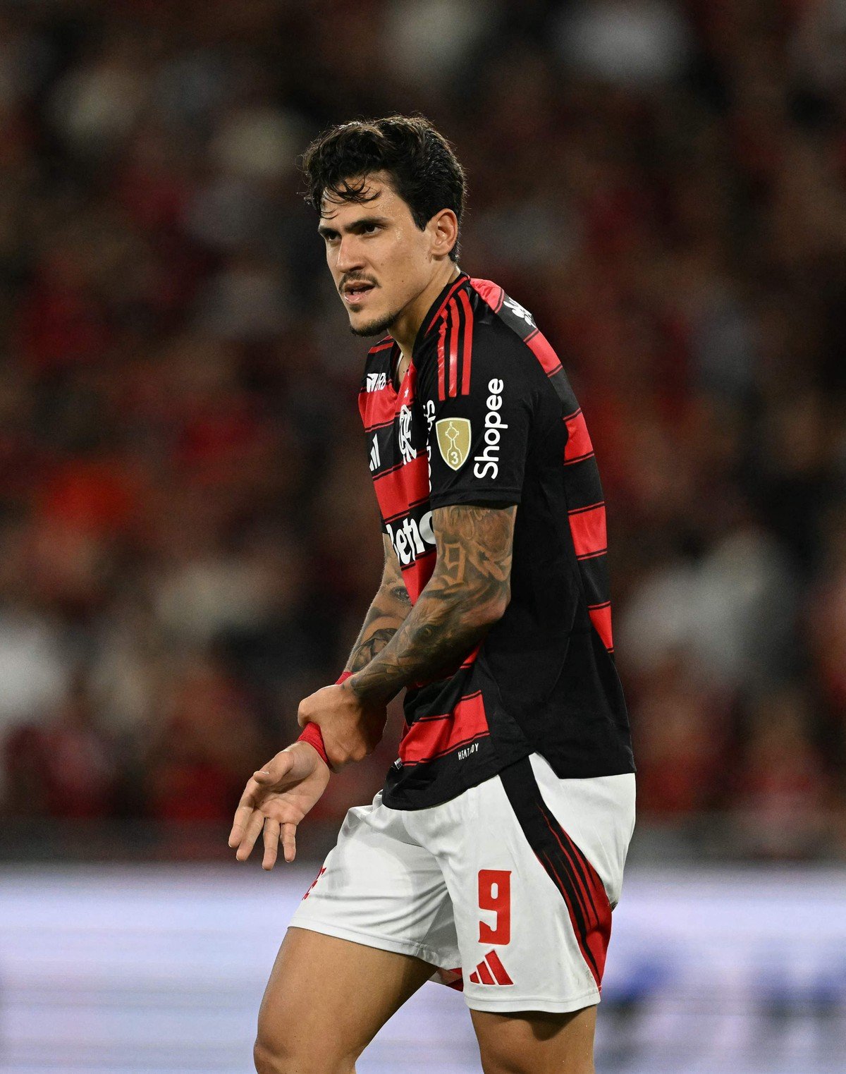 Flamengo prepares protections for Pedro to return to play before the Libertadores final; understand