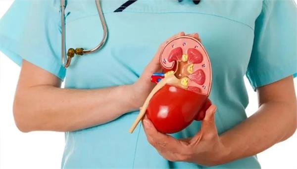 India Ranks Second in Serious Kidney Disease Cases