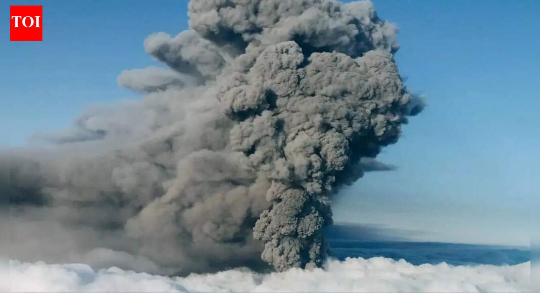 ‘Lounge full of stranded flyers’: Bengaluru granny stranded for 27 hours without aid at Qatar airport as Ethiopia volcano disrupts flights