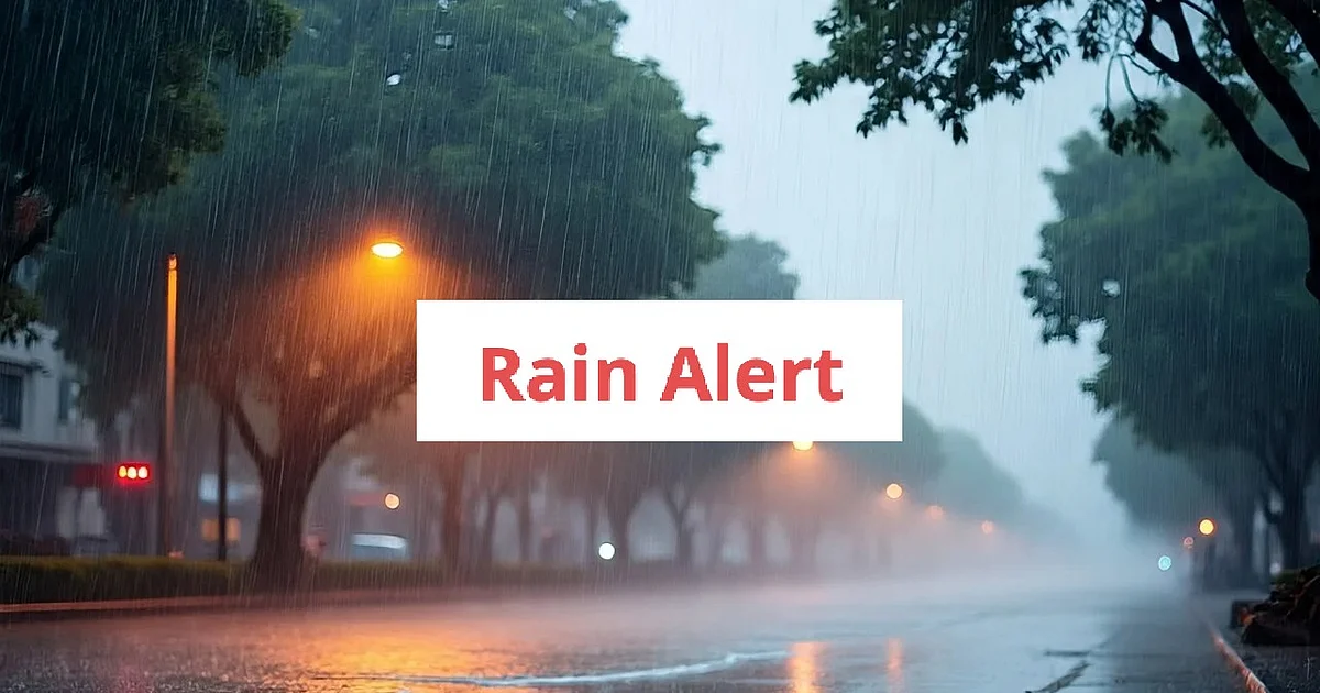 Rain Alert: Possibility of Heavy Rainfall in 16 Districts Today – Meteorological Department Advisory