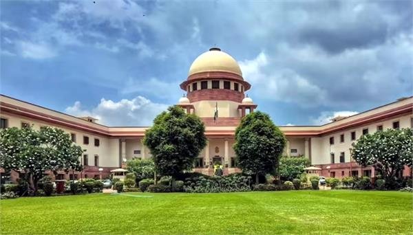 Supreme Court to Investigate ‘Surrogacy’ Laws