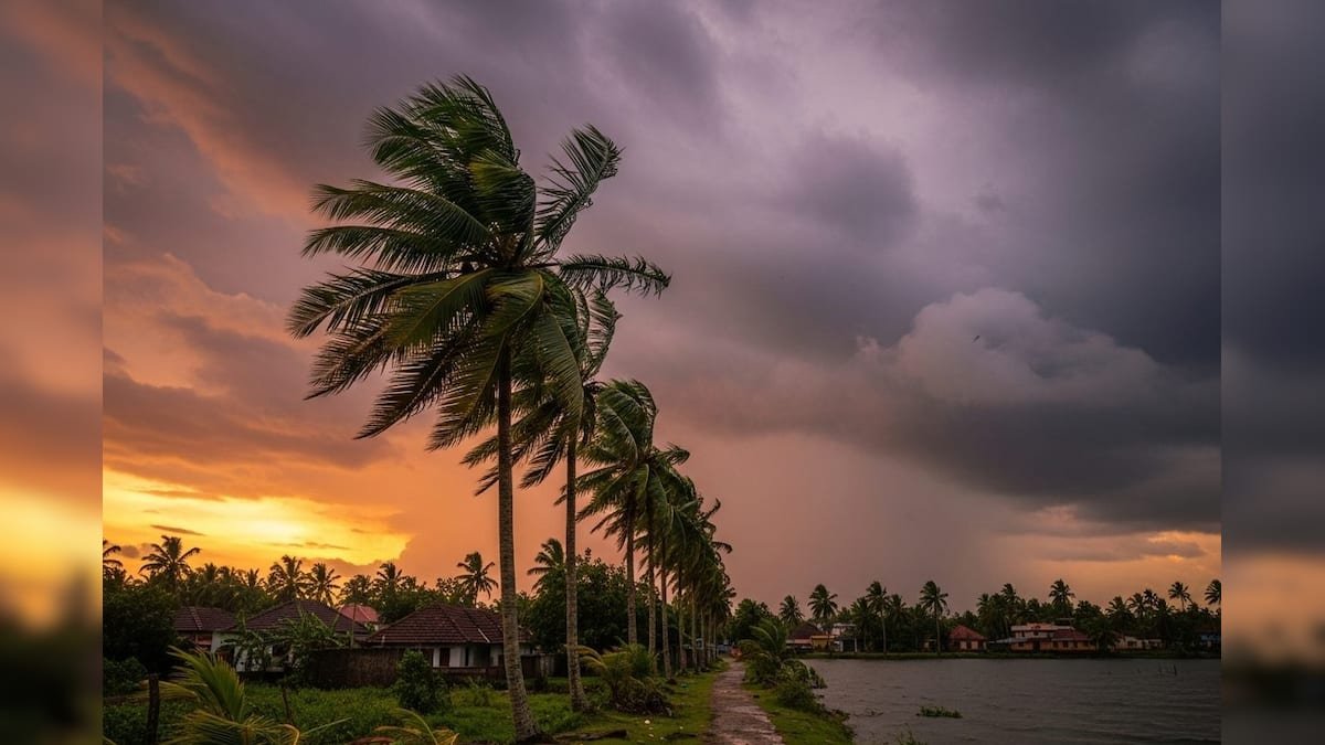 Weather Update: Cyclone Ditwah Yellow Alert in Five Kerala Districts