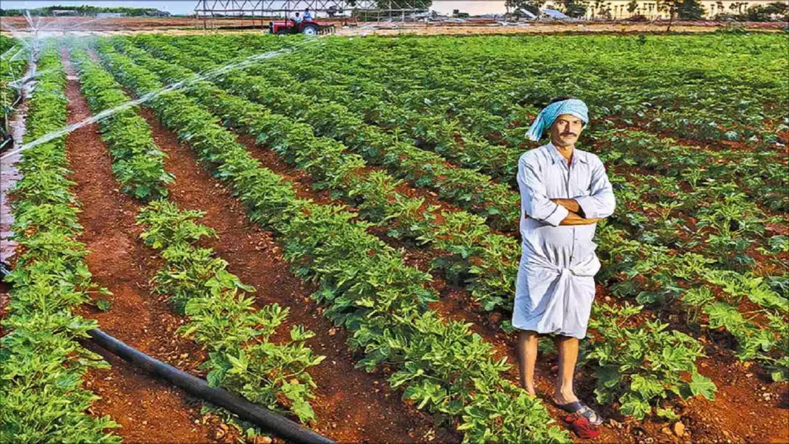 Alert for Farmers in Andhra Pradesh: Beware of Loss if Plants are not Bought Correctly
