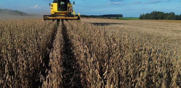 Brazil’s agribusiness exports grow by 1.4% in 2025 despite US tariff war