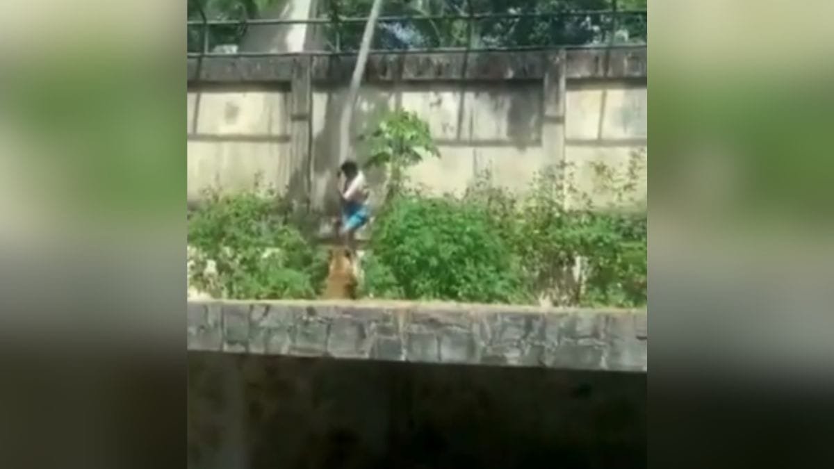 Court ordered internment of young man killed by lion in zoo a month before tragedy