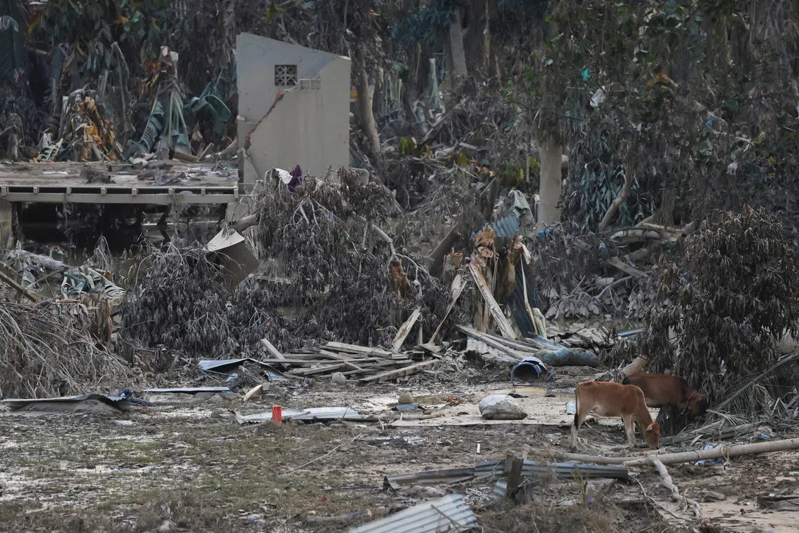 Deadly Sumatra Flooding Triggers Memories of Indian Ocean Tsunami