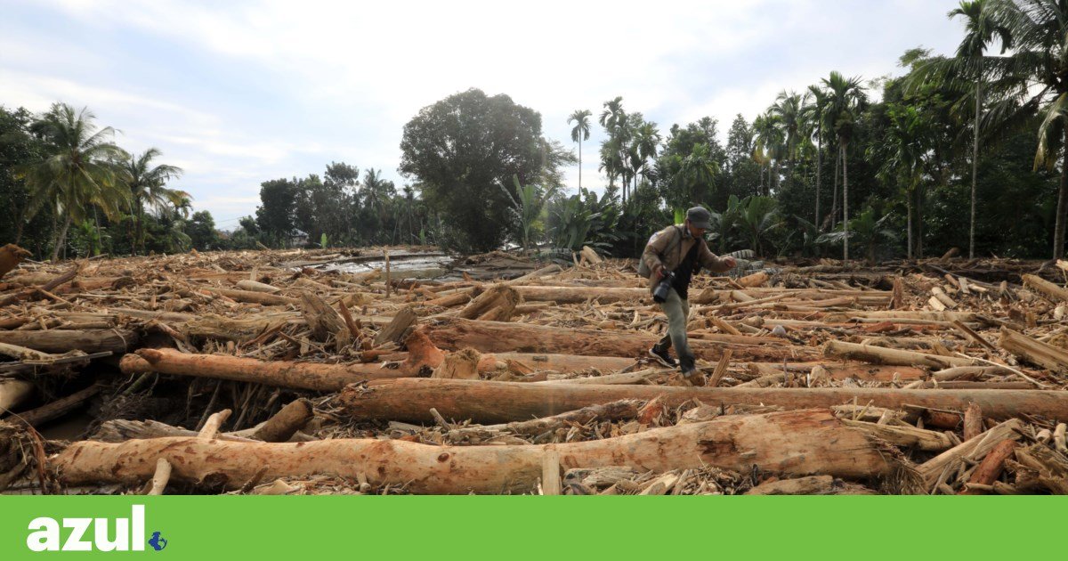 Death toll in Indonesia due to floods rises to 631