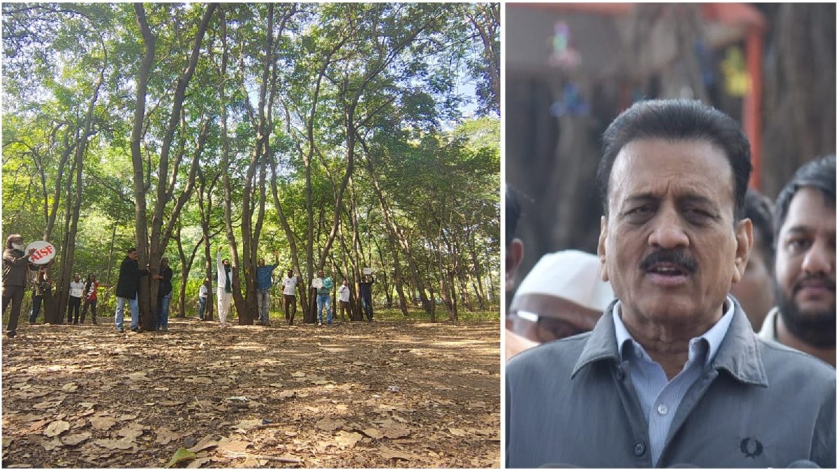 Girish Mahajan on Tapovan Dispute: What is the Plan for 15,000 Trees from Hyderabad?