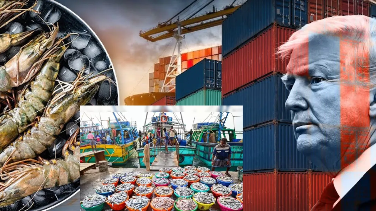 Increased Ocean Food Exports: India Surpasses America’s Share!