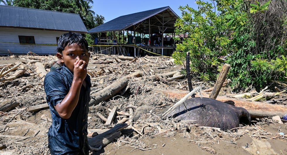 Indonesia: Hunger Looms After Floods Leave Over 900 Dead