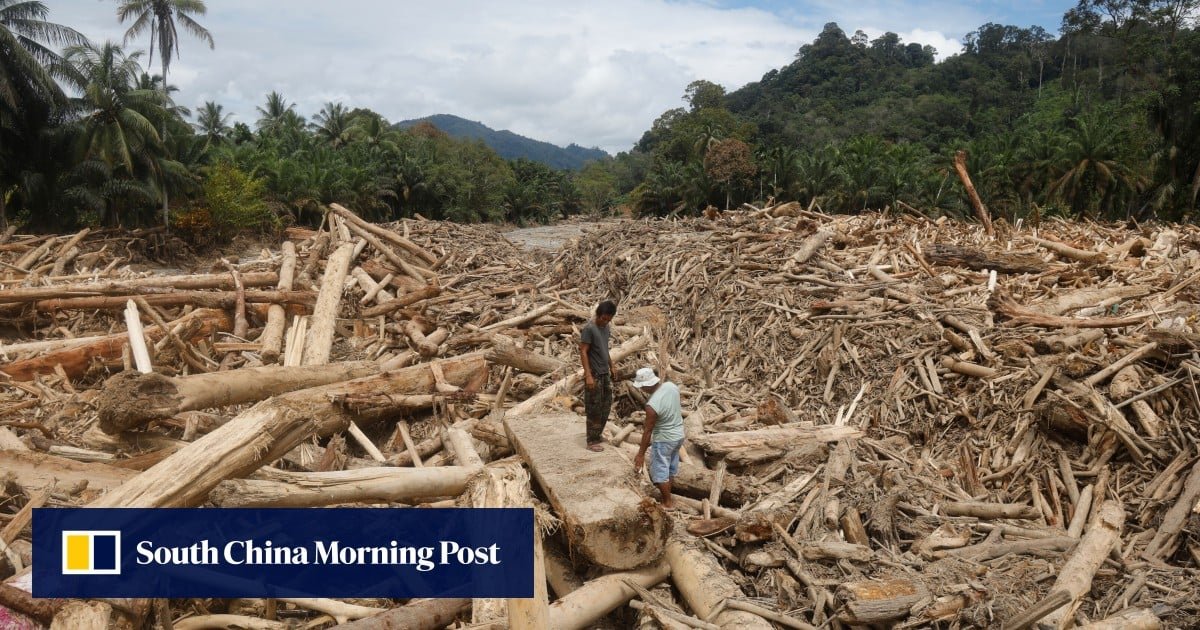 Indonesia’s Cyclone Tragedy Reveals Devastating Impact of Deforestation