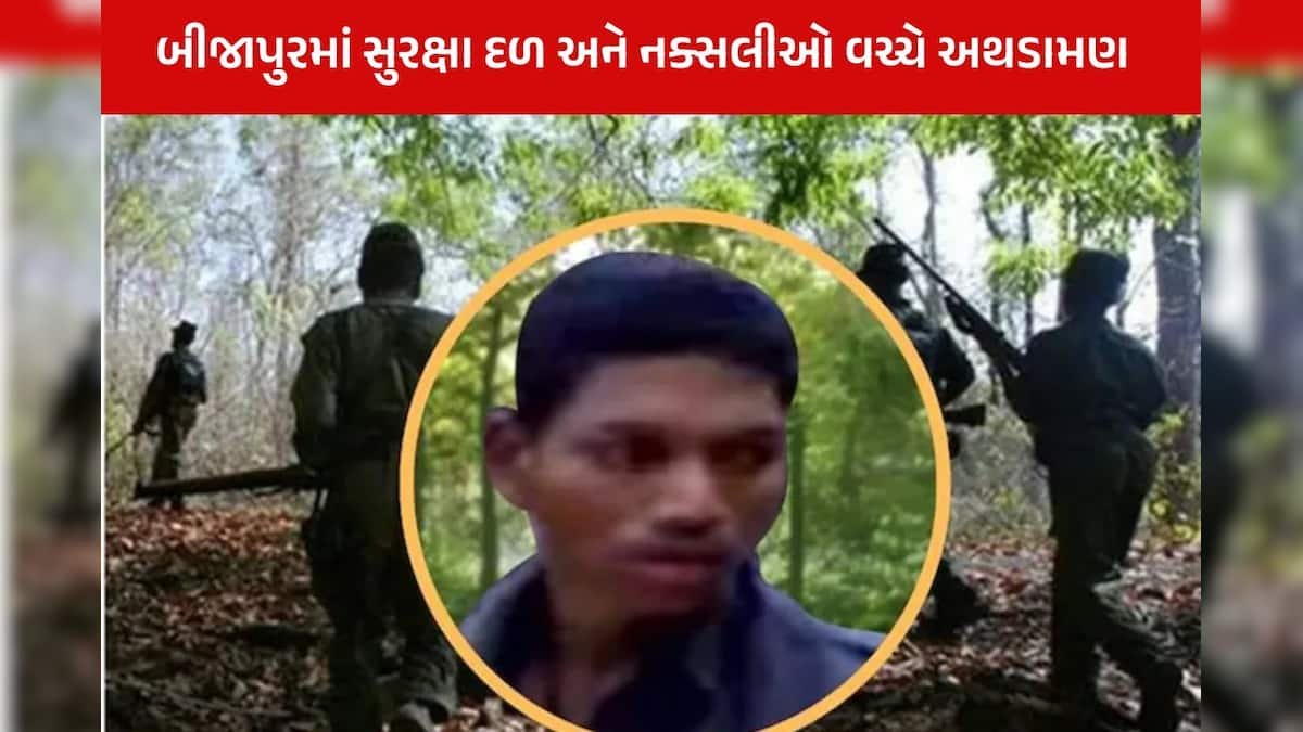Major Encounter in Chhattisgarh: 12 Maoists Killed, Notorious Maoist Commander Also Dead