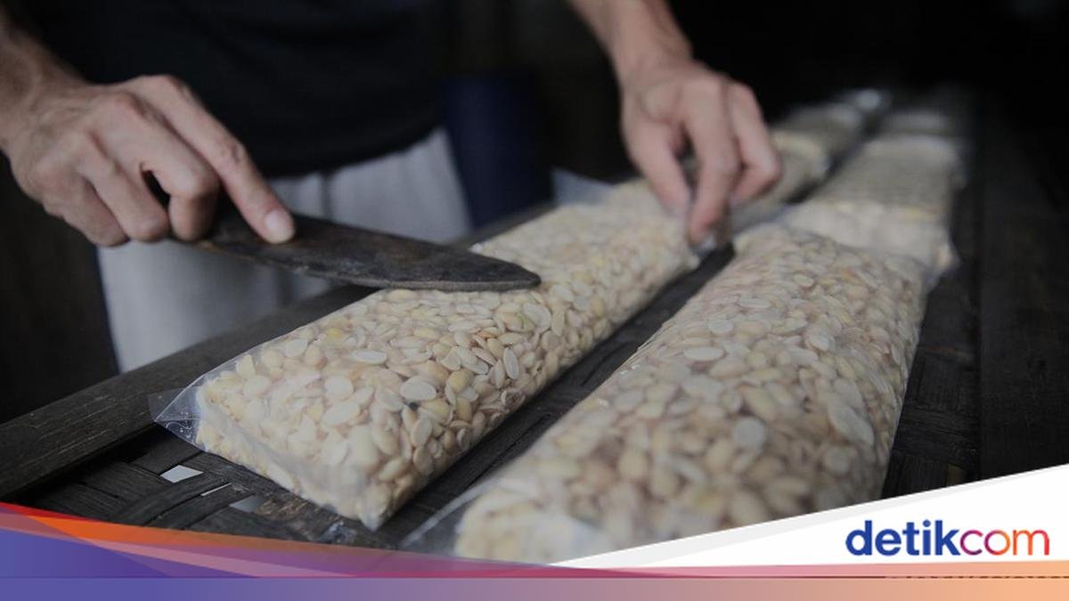 Tempe-Seni Ukir Jepara Awaiting Nominations for Intangible Cultural Heritage to UNESCO