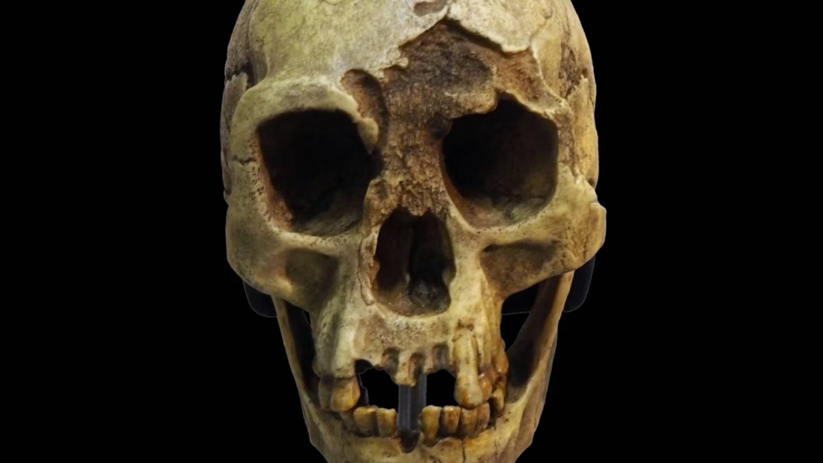 Where Did Indonesia’s Hobbits Go? Study Reveals Major New Clues