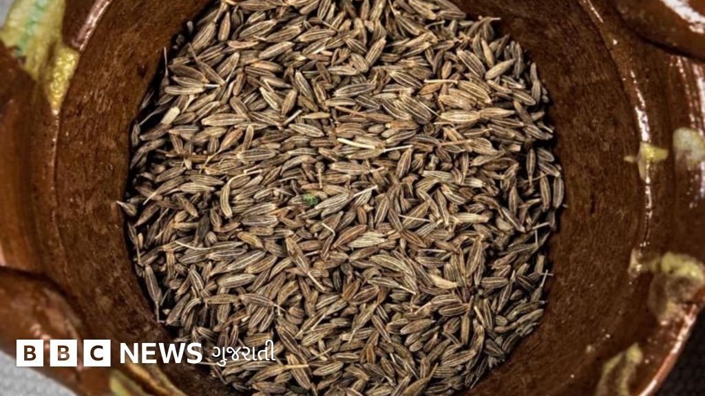 Why are Cumin Prices Rising in Gujarat? What Levels Will it Reach?